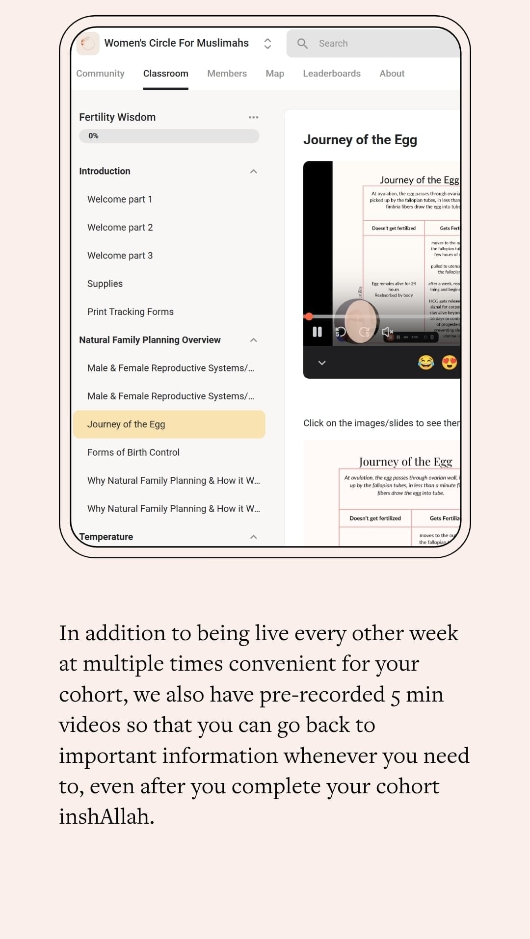 Fertility Wisdom Live Cohort
